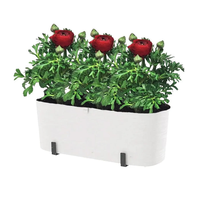 Kit Fioriera Paros 40 cm con 2 piante di Ranuncolo, perfetto per balconi