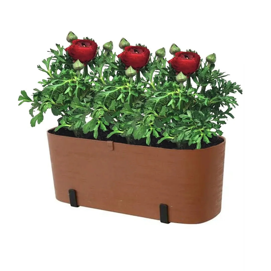 Kit Fioriera Paros 40 cm con 2 piante di Ranuncolo, perfetto per balconi