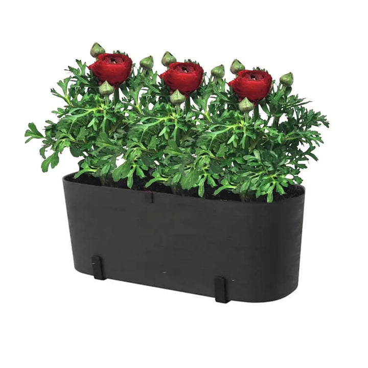 Kit Fioriera Paros 40 cm con 2 piante di Ranuncolo, perfetto per balconi