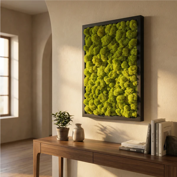 Quadro licheni stabilizzati cornice nera 60x40 cm su parete chiara