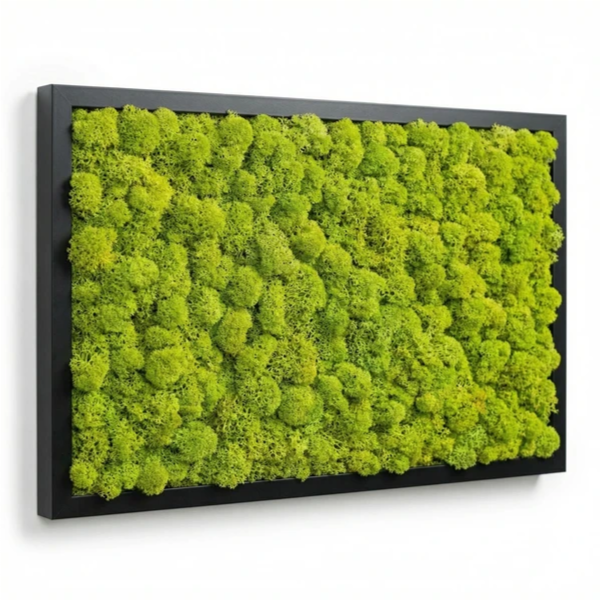 Quadro licheni stabilizzati cornice nera - variante Forest Green