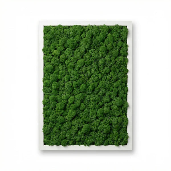 Quadro con licheni stabilizzati - variante Light Green con cornice bianca