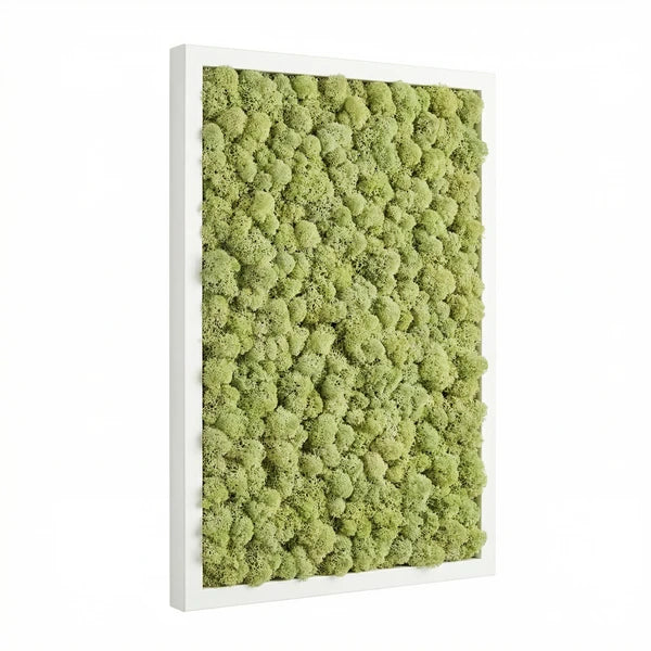 Quadro con licheni stabilizzati - variante Lime Green con cornice bianca