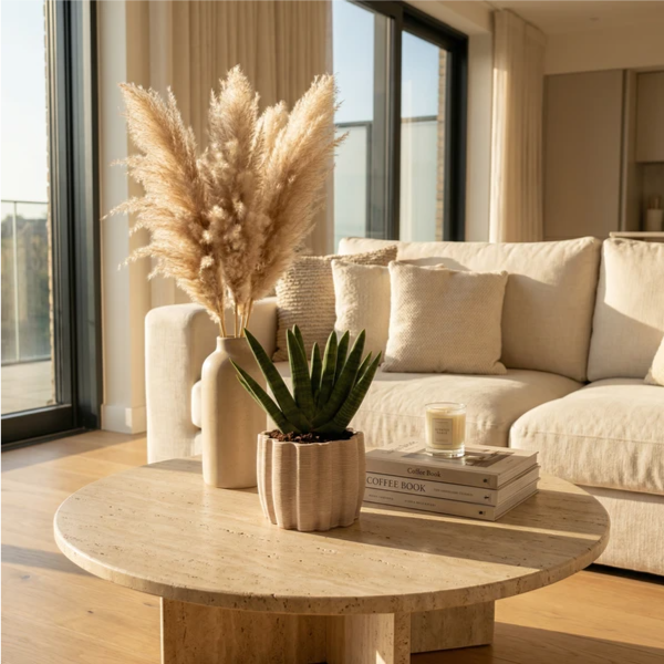 Sansevieria Swasdi in vaso Aresi su tavolino travertino con pampas e candela in soggiorno moderno