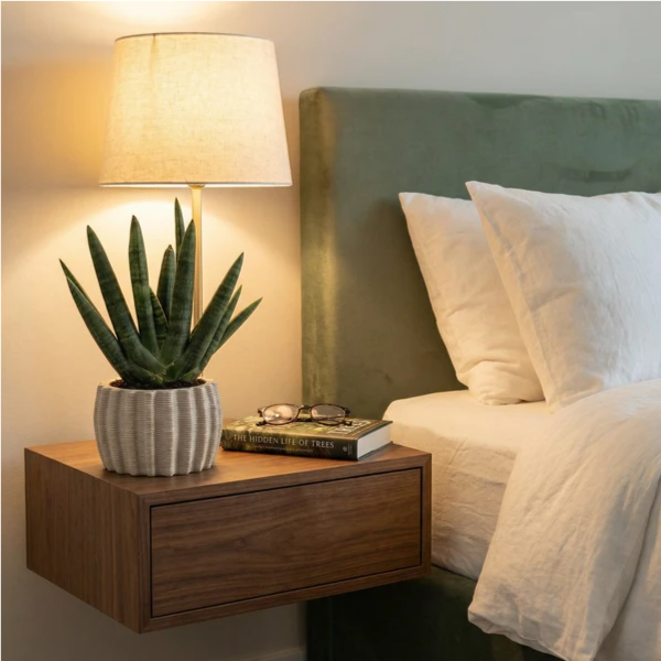 Sansevieria Swasdi in vaso Dioniso su comodino sospeso in camera da letto con luce calda serale
