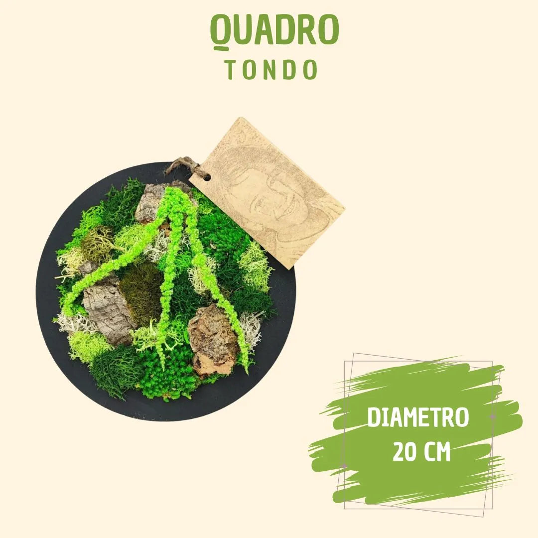 Quadro tondo mini di muschi e licheni stabilizzato con scatola regalo