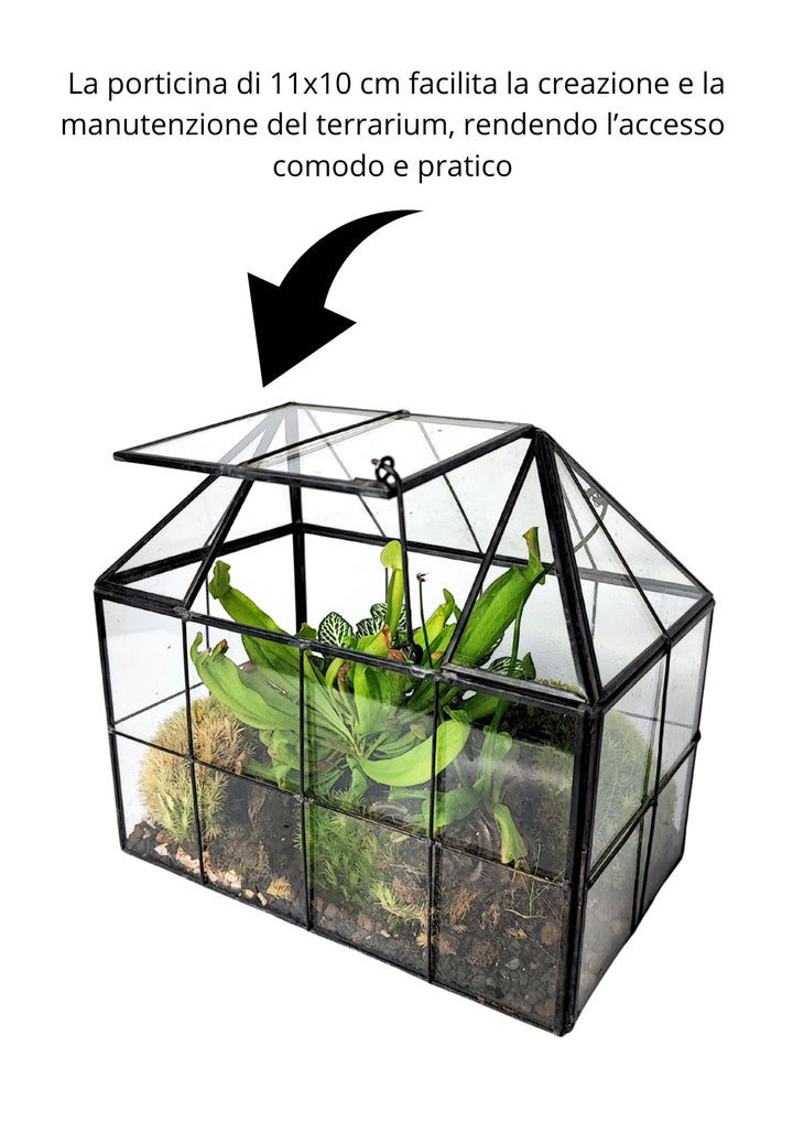 kit terrarium geometrico fai da te con 4 piantine  2KITTERROM61