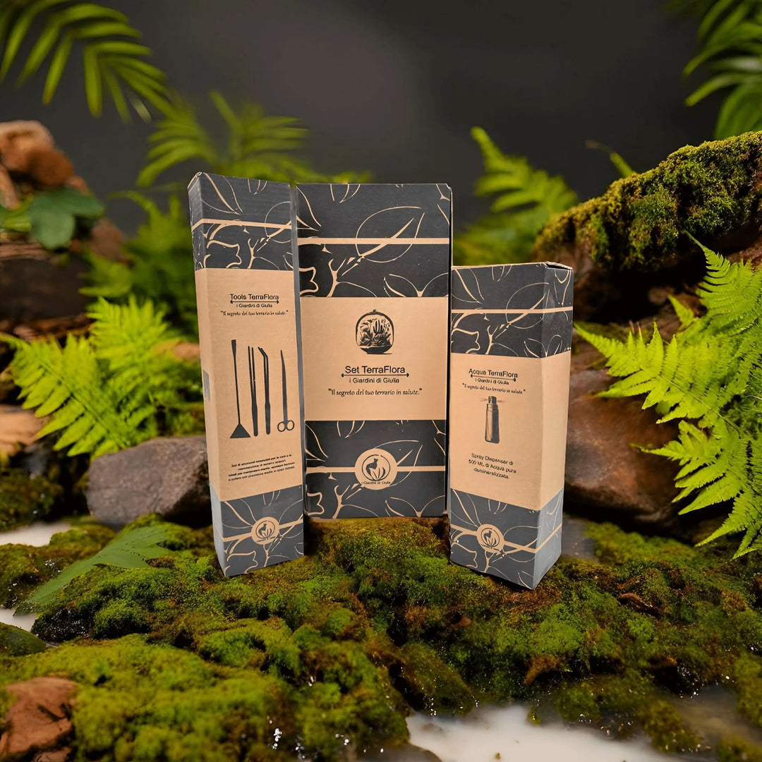 Spruzzino per piante con nebulizzazione fine – perfetto per idratare bonsai, terrari e piante tropicali senza lasciare residui minerali