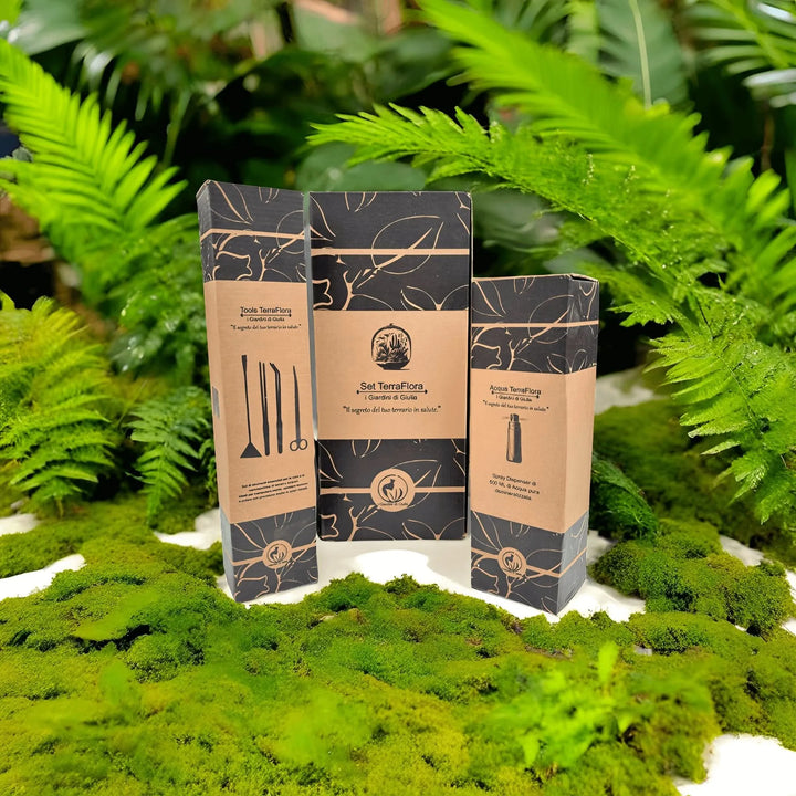 Set TerraFlora per la manutenzione dei terrari – confezione regalo elegante con strumenti professionali per la cura delle piante in vaso e terrarium – I Giardini di Giulia