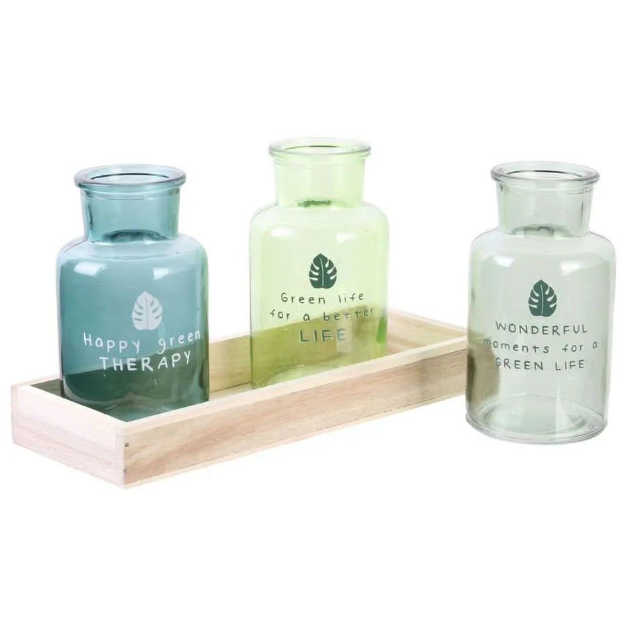 Set di tre vasi in vetro con supporto in legno - i Giardini di Giulia