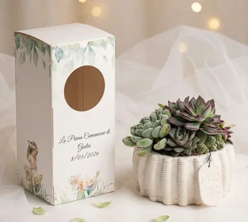 Succulente bomboniera comunione con packaging personalizzato