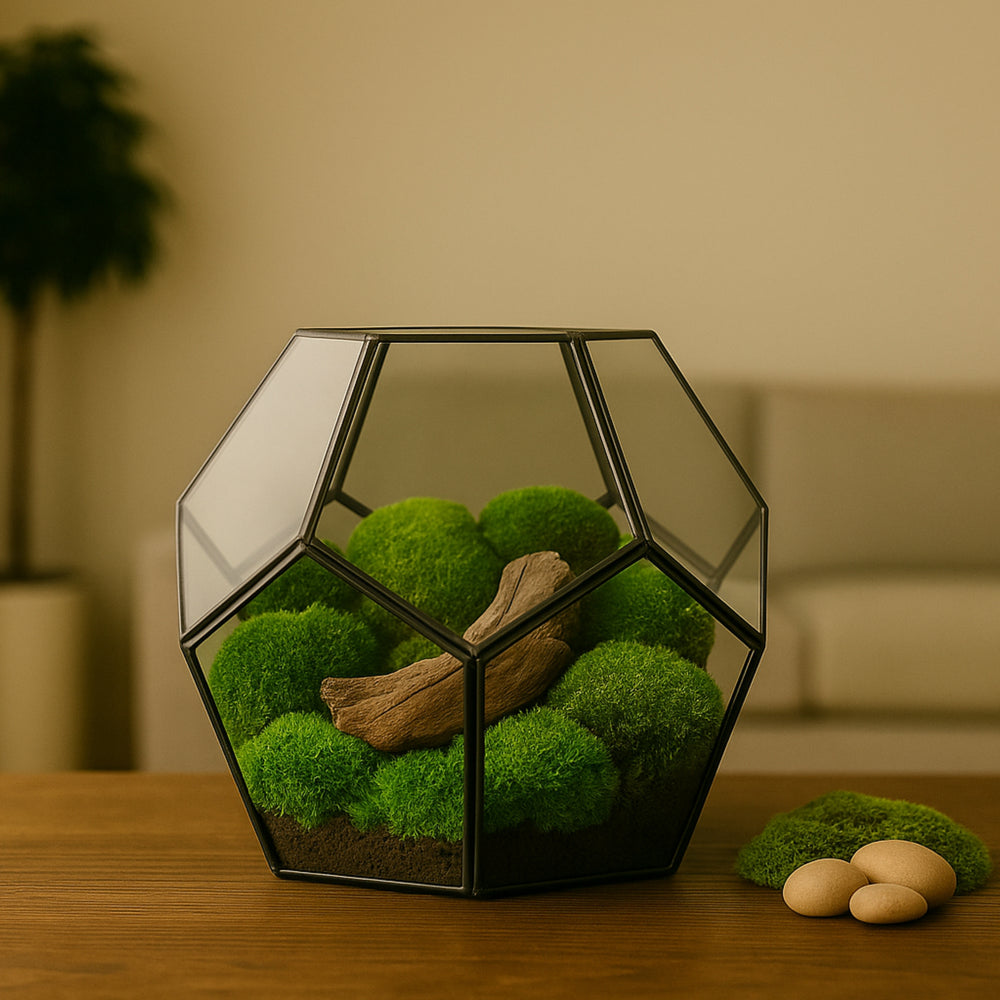 Terrario geometrico in vetro a forma di dodecaedro con muschio stabilizzato e legno naturale, su tavolino in legno in salotto moderno. Elemento decorativo green per arredamento sostenibile e design minimal.