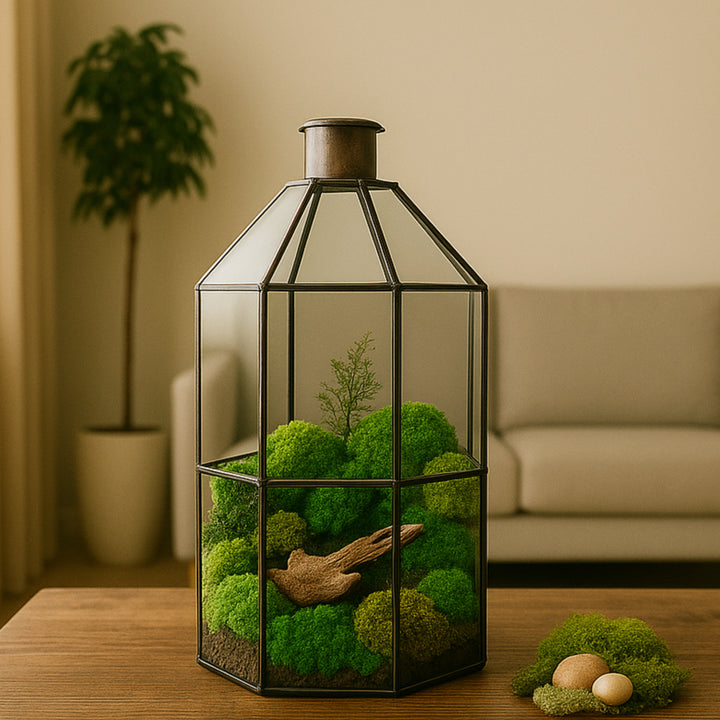 Terrario geometrico in vetro con muschio stabilizzato e legno naturale su tavolino in salotto moderno. Arredamento green elegante con elementi naturali, perfetto per decorazione d’interni sostenibile.