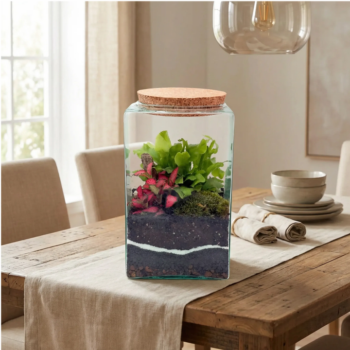 Terrarium centrotavola su tavolo legno sala pranzo con sedie e stoviglie