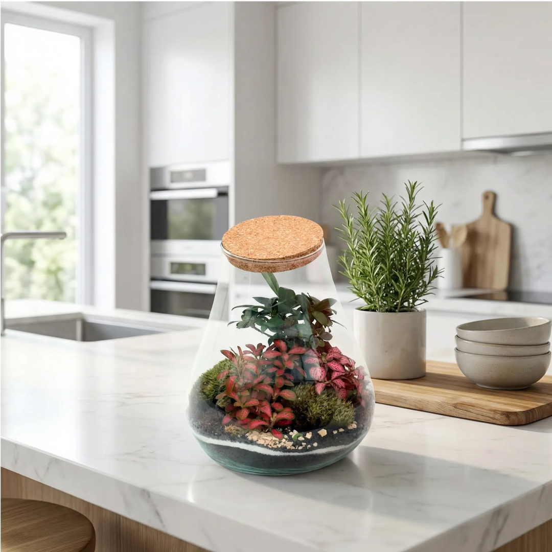 Terrarium a goccia su piano cucina bianca con erbe aromatiche