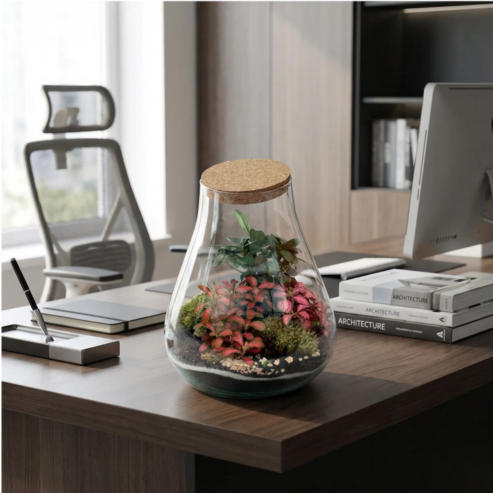 Terrarium 19x19 su scrivania ufficio con monitor e accessori design