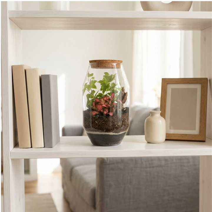 Terrarium su mensola bianca con libri, complemento d'arredo naturale per soggiorno luminoso