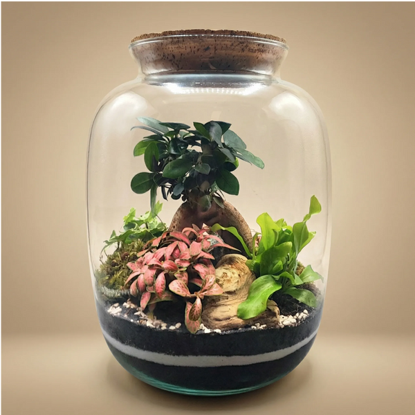Terrarium Eli con piante verdi