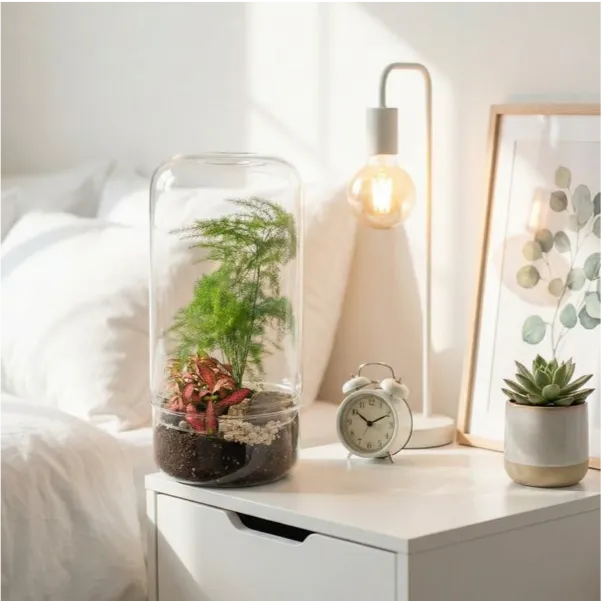 Terrarium cilindrico decorativo comodino camera letto con lampada sveglia e piante