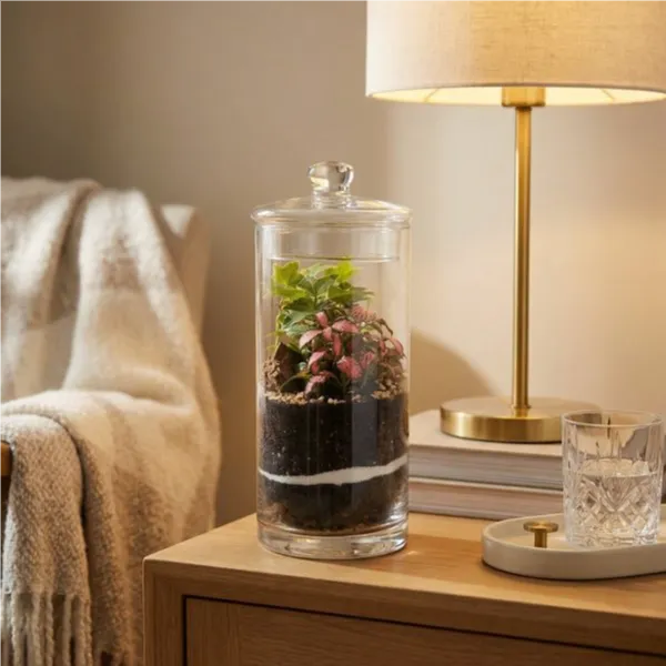 Terrarium chloe con piante verdi