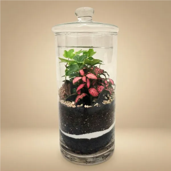 Terrarium chloe con piante verdi