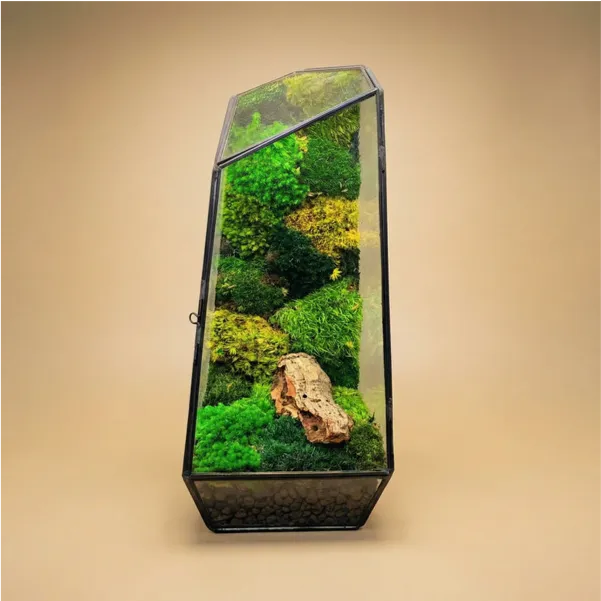 Terrarium Diamante muschio stabilizzato verde brillante lime giallo. Cornice nera vetro trasparente corteccia. Zero manutenzione design.