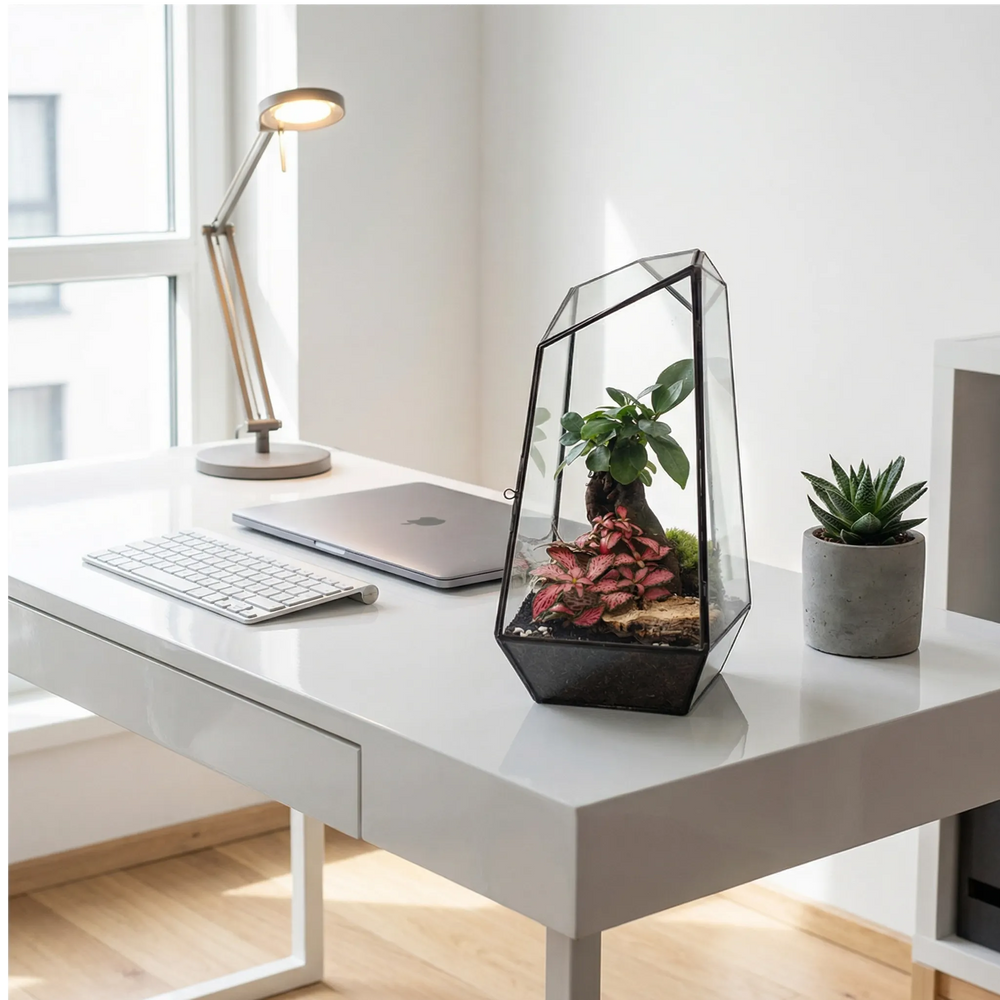 Terrarium Diamante su scrivania ufficio moderna bianca, decorazione elegante per workspace minimalista