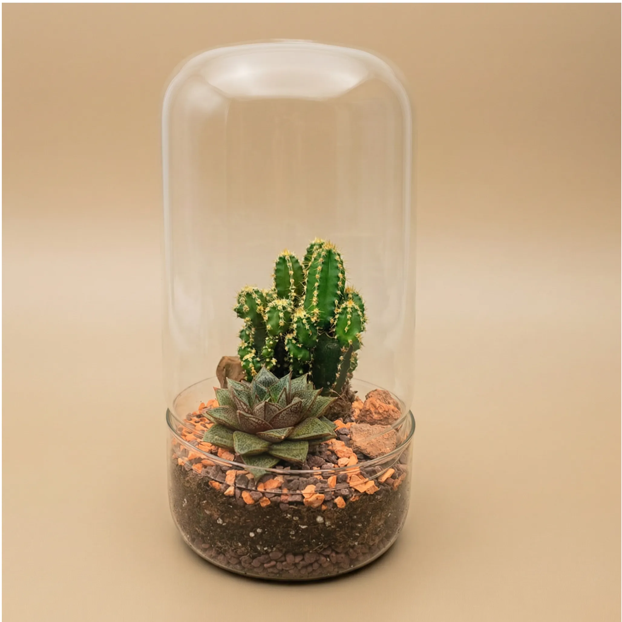 Vasetto Portapiante In Ceramica A Forma Di Statua Oceano Per Piante Grasse E Cactus | Decorazione Da Scrivania E Casa, Con Foro Di Drenaggio