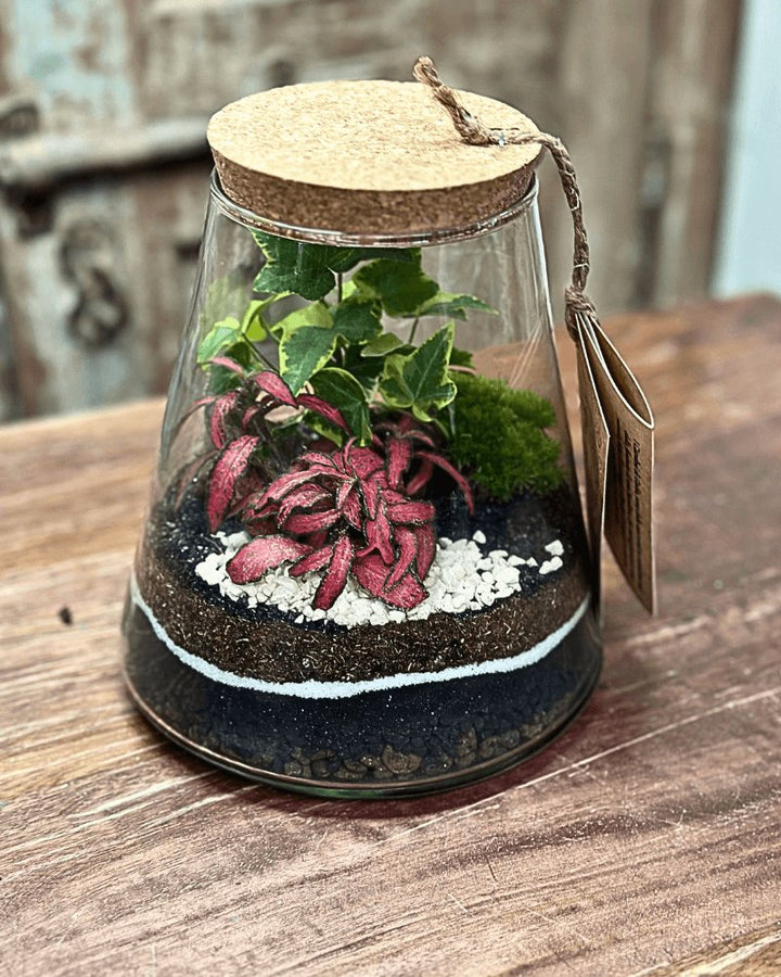 Terrarium Eco Chic 059 - i Giardini di Giulia