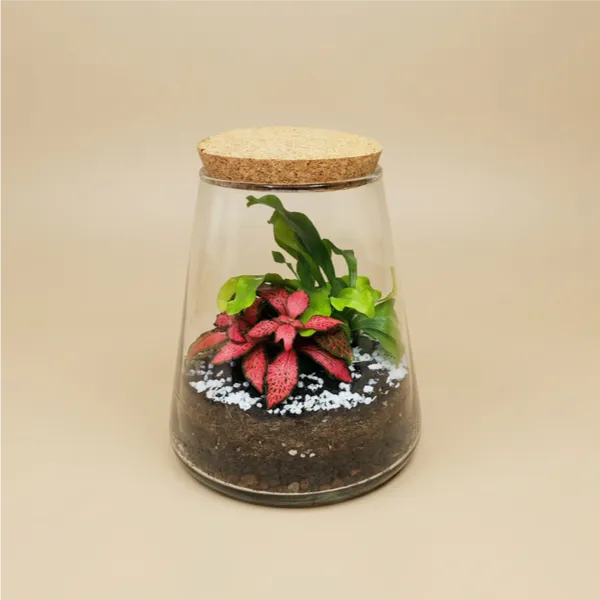 Terrarium Eco Chic 059
