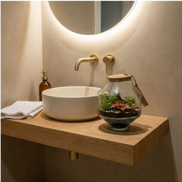 Terrarium Elia fittonia arancio su mensola rovere in bagno design microcemento con specchio retroilluminato