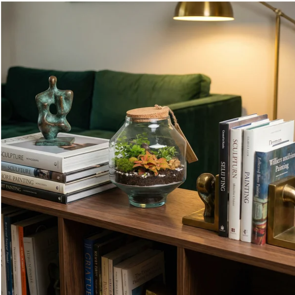 Terrarium Elia fittonia arancio in libreria noce con scultura bronzo e divano velluto verde scuro