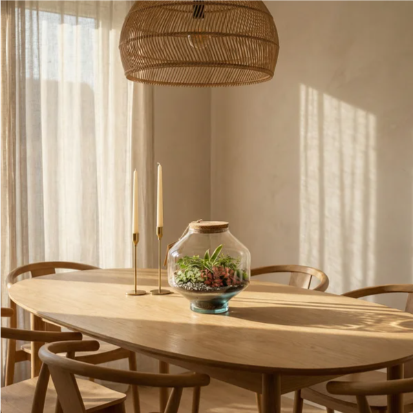 Terrarium Elia piante verdi in libreria noce con scultura bronzo e divano velluto verde scuro