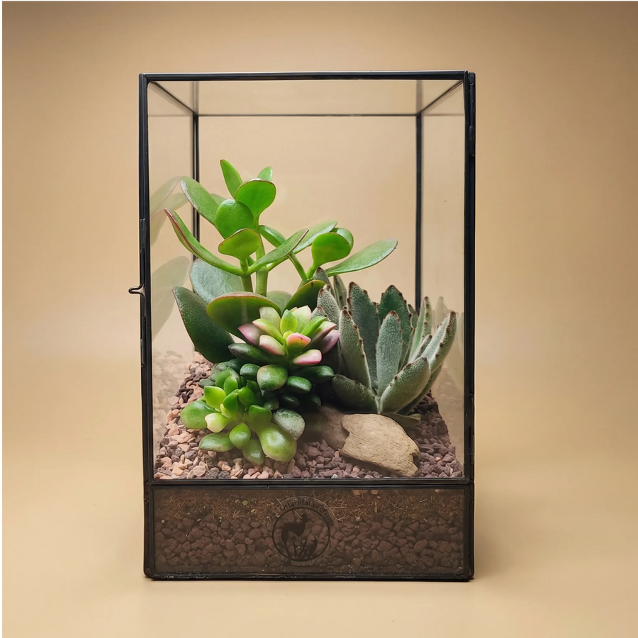 i Giardini di Giulia 