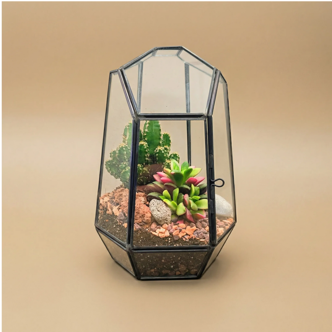 Terrarium Emma geometrico esagonale metallo nero vetro con cactus e succulente colorate. Design moderno verticale. Porta apribile.