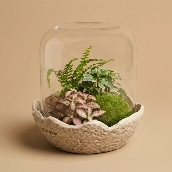 Terrarium con cupola di vetro Medio