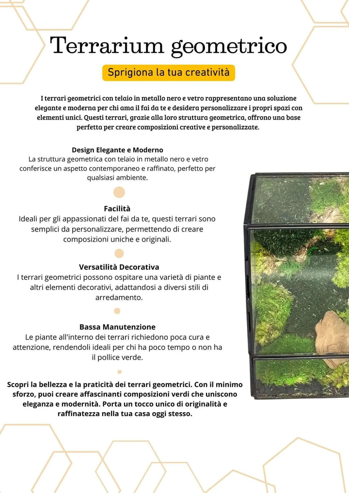 Terrarium geometrico Angolo di Vita 2TR074 - i Giardini di Giulia