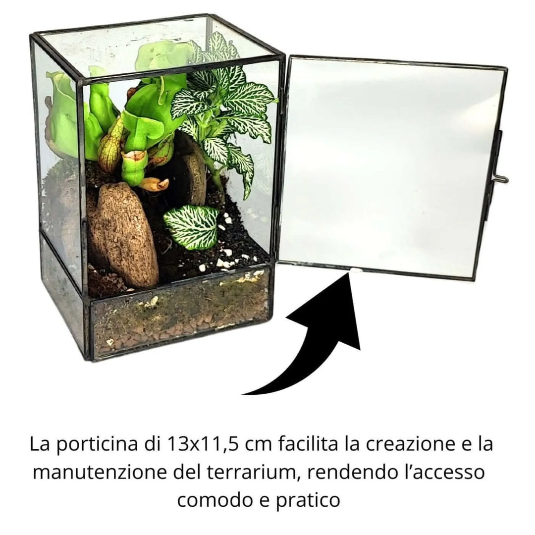 Terrarium geometrico Angolo Verde 2TR075 - i Giardini di Giulia