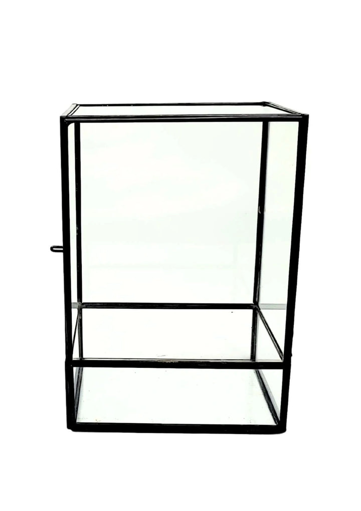 Terrarium geometrico Angolo Verde 2TR075 - i Giardini di Giulia