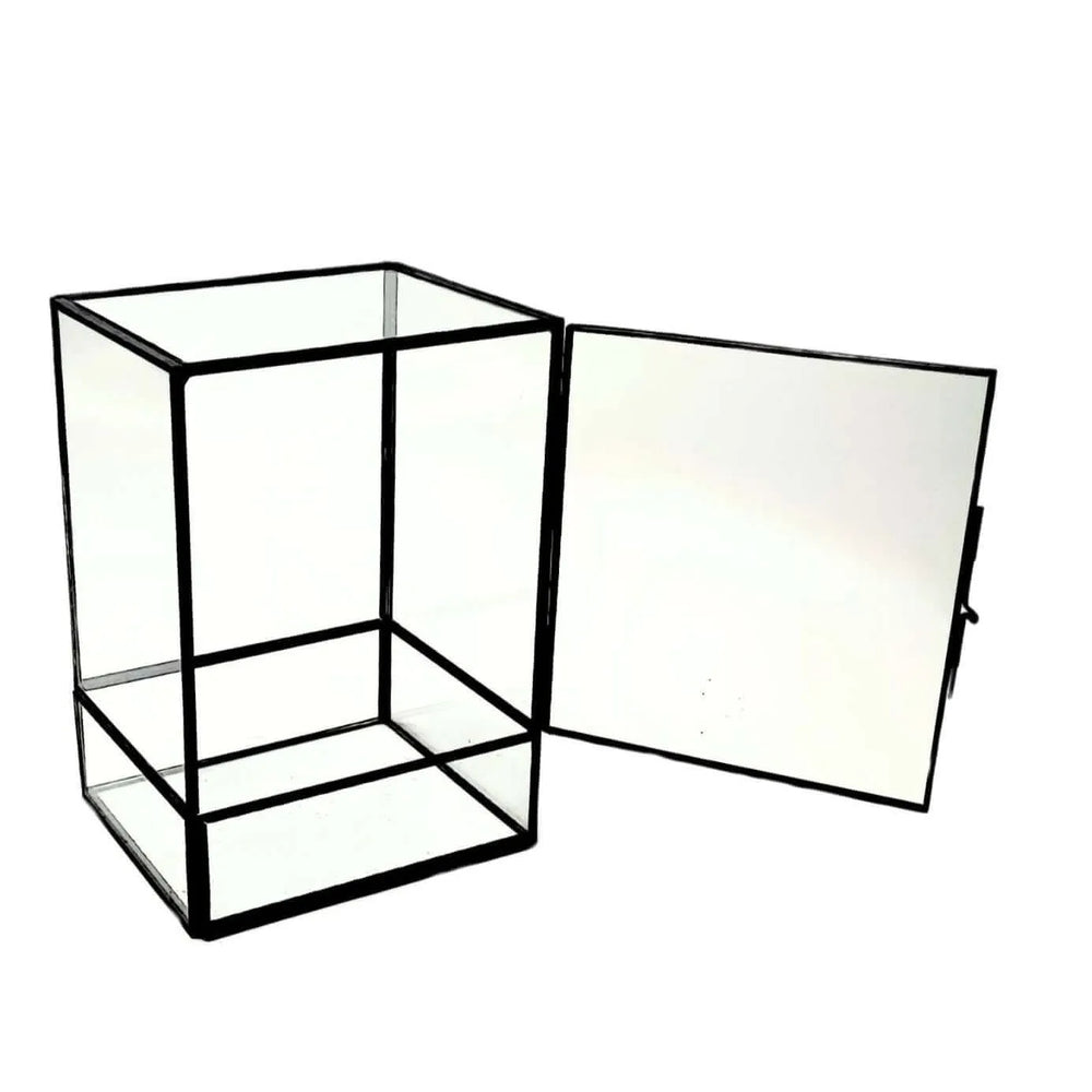 Terrarium geometrico Angolo Verde 2TR075 - i Giardini di Giulia