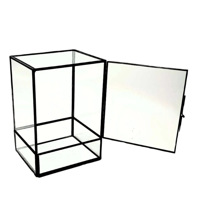 Terrarium geometrico Angolo Verde 2TR075 - i Giardini di Giulia