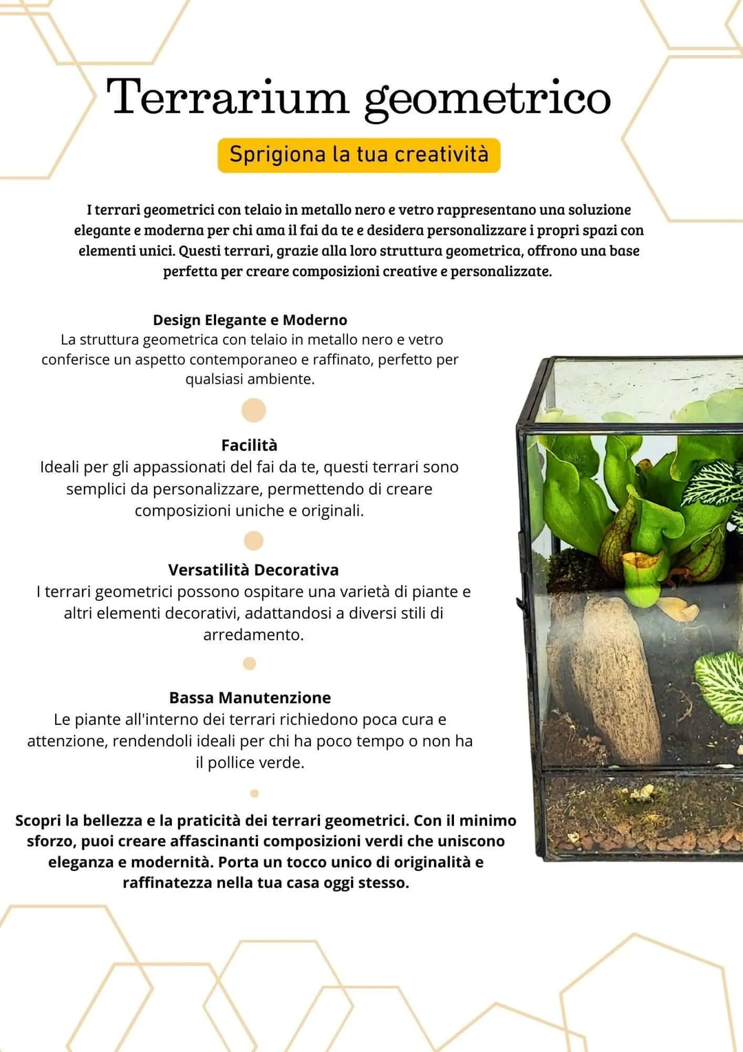 Terrarium geometrico Angolo Verde 2TR075 - i Giardini di Giulia