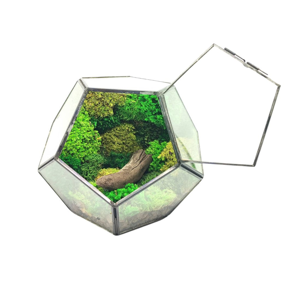 Terrarium geometrico con muschio stabilizzato, ideale per arredare interni moderni con un tocco naturale.

