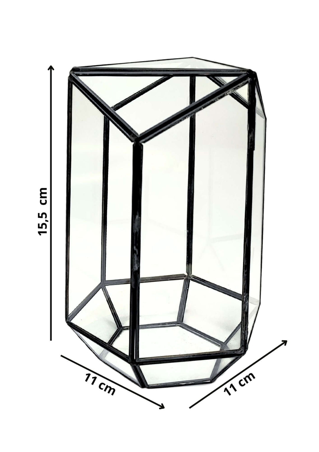 Terrarium geometrico Eden di Vetro 2TR064 - i Giardini di Giulia