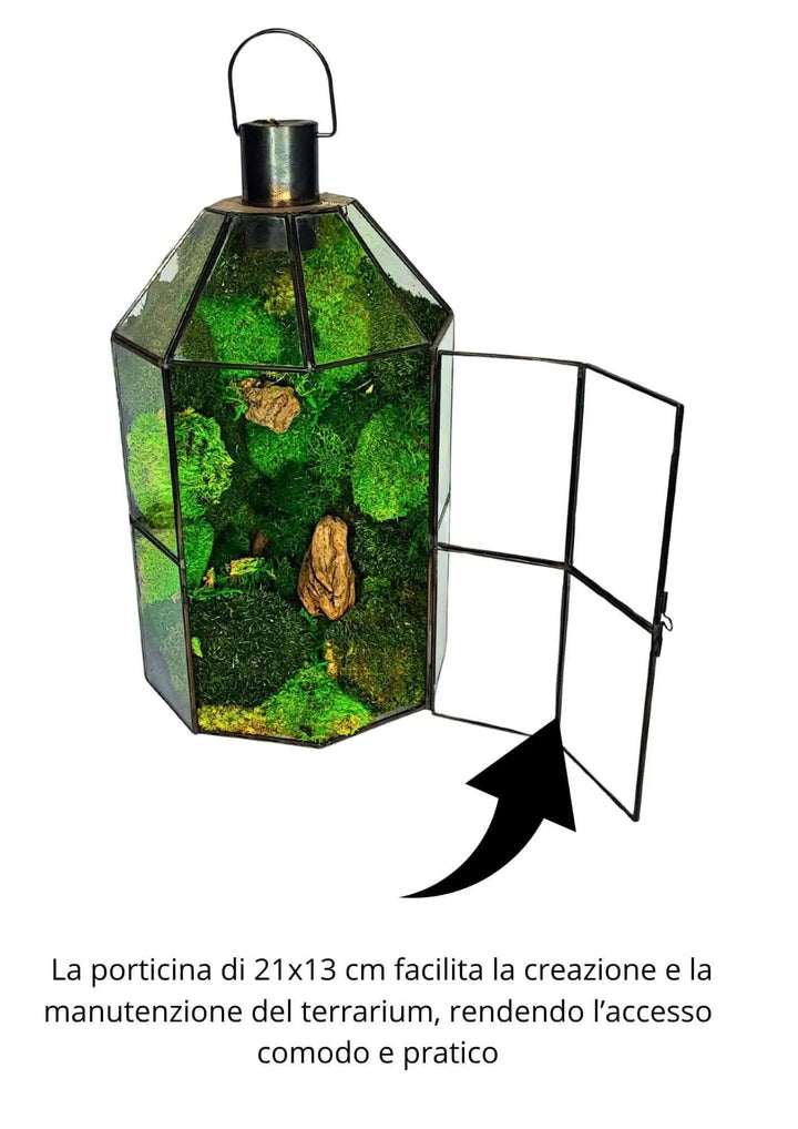 Terrarium geometrico Faro di Cristallo 2TR078 - i Giardini di Giulia