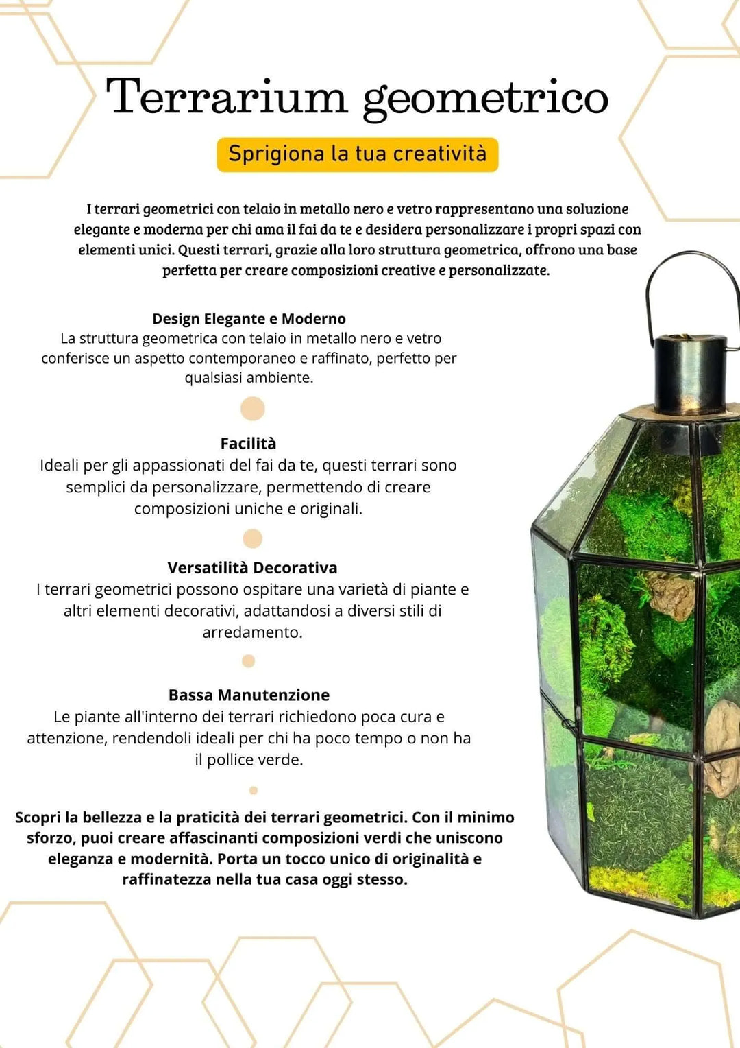 Terrarium geometrico Faro di Cristallo 2TR078 - i Giardini di Giulia