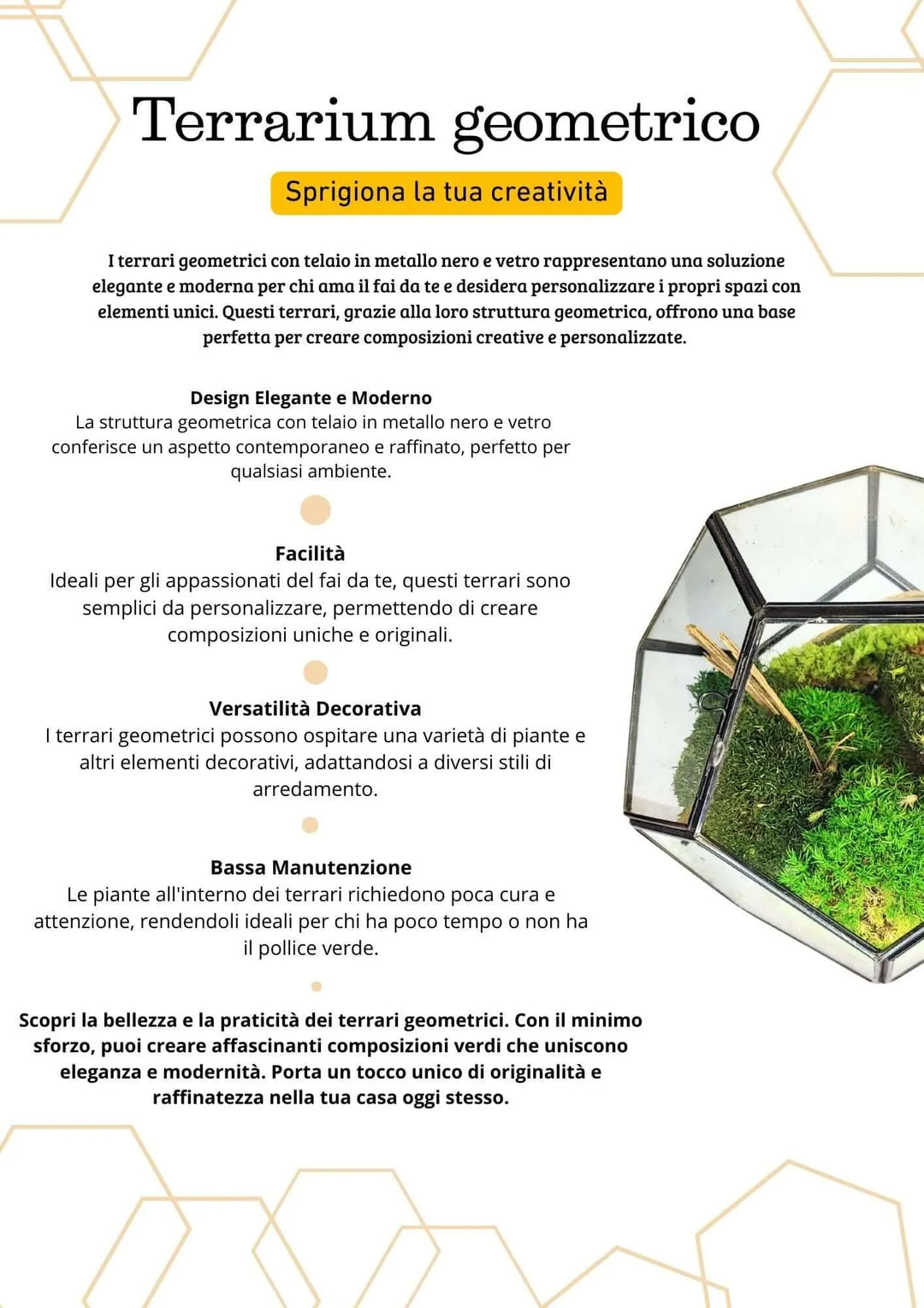 Terrarium geometrico Giardino di Cristallo 2TR070 - i Giardini di Giulia