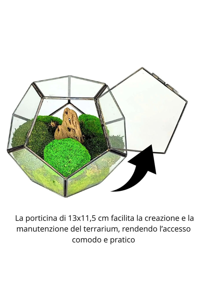 Terrarium geometrico Habitat Incantato 2TR071 - i Giardini di Giulia