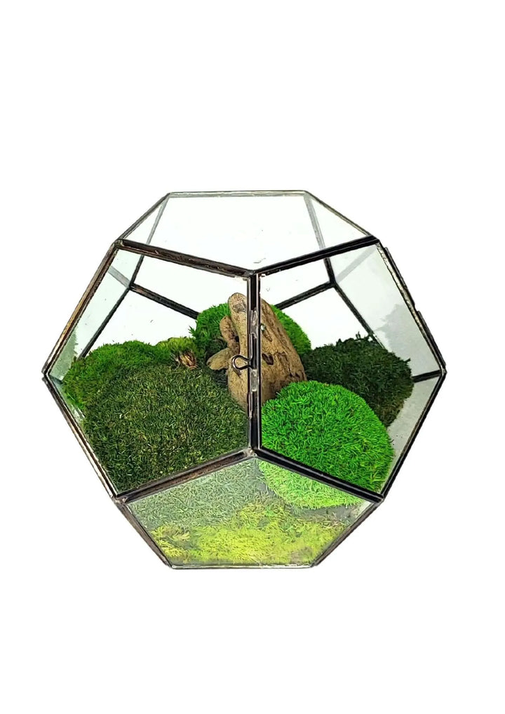 Terrarium geometrico Habitat Incantato 2TR071 - i Giardini di Giulia