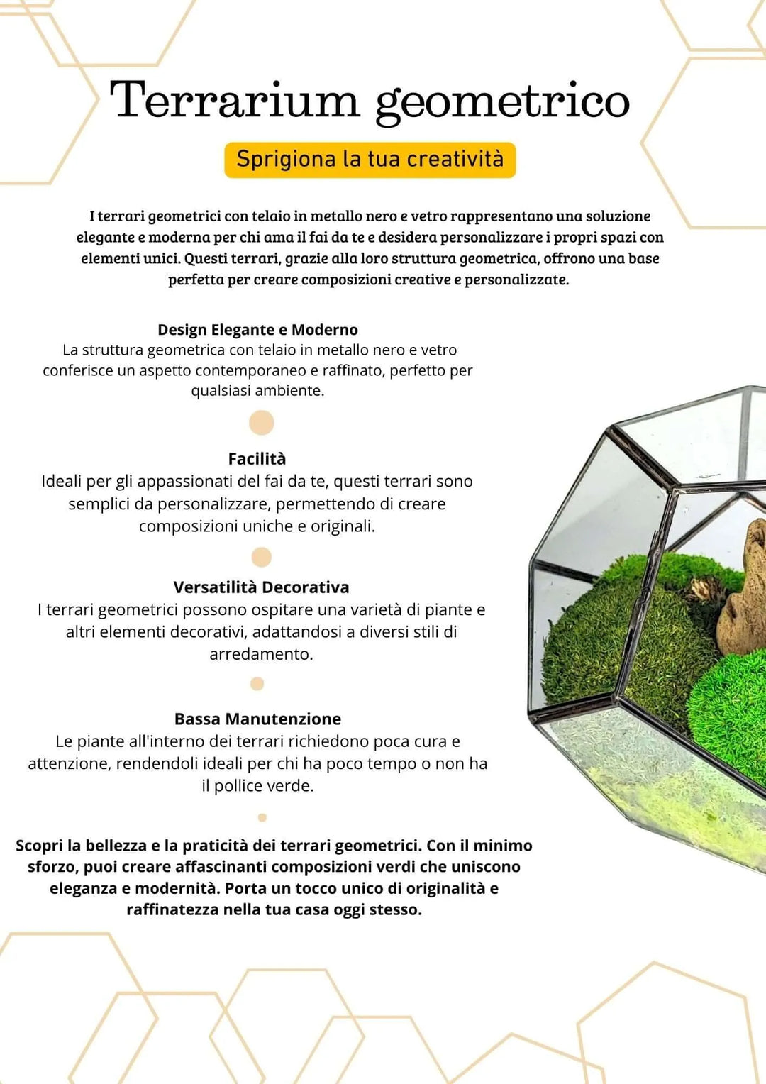 Terrarium geometrico Habitat Incantato 2TR071 - i Giardini di Giulia